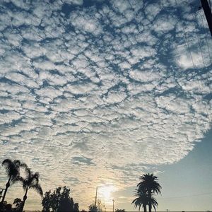 Meet your Posher, Jerrina